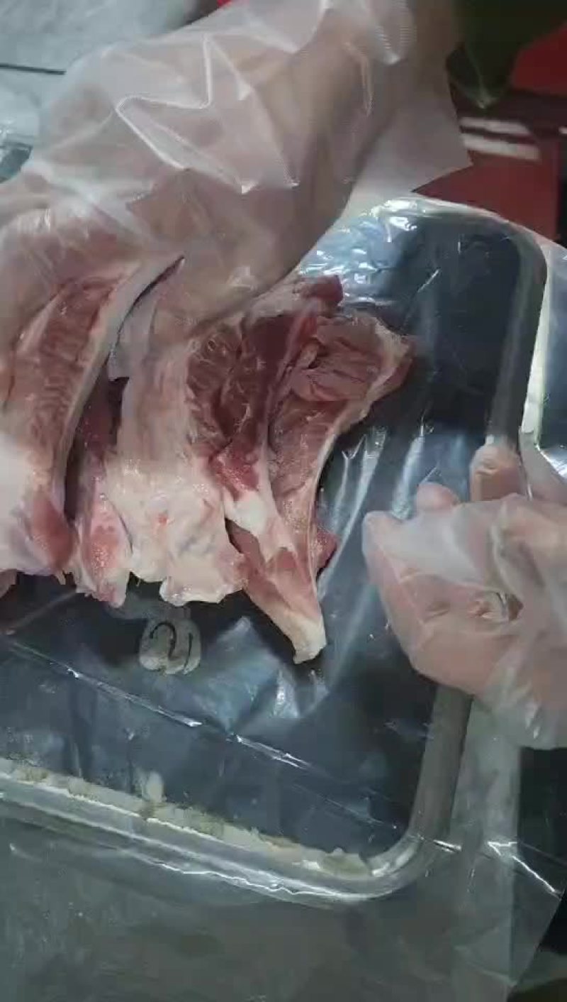 肥猪多肉月牙骨