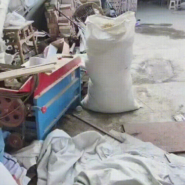 24小时在线服务厂家直销精品麦冬新鲜上市