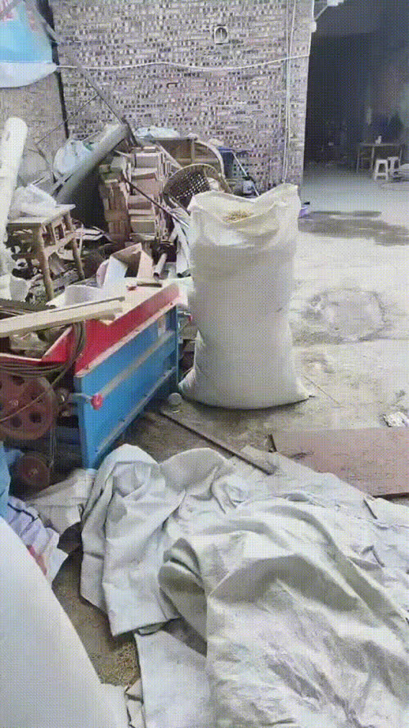 24小时在线服务厂家直销精品麦冬新鲜上市