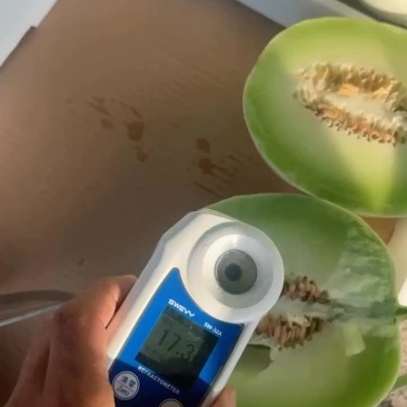 玉菇甜瓜
