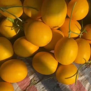 久红瑞