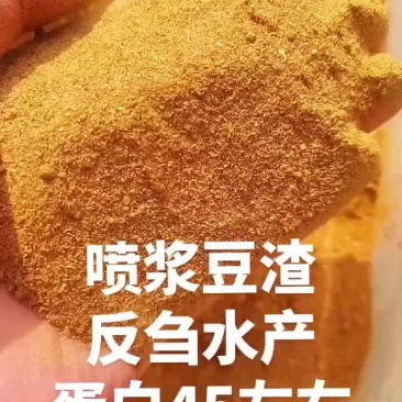 喷浆豆渣—蛋白45左右，水分10以内，袋装