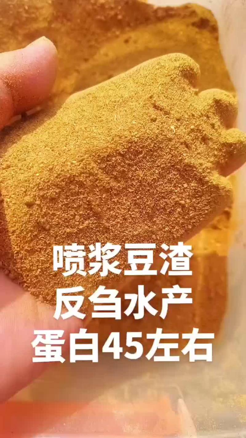 喷浆豆渣—蛋白45左右，水分10以内，袋装