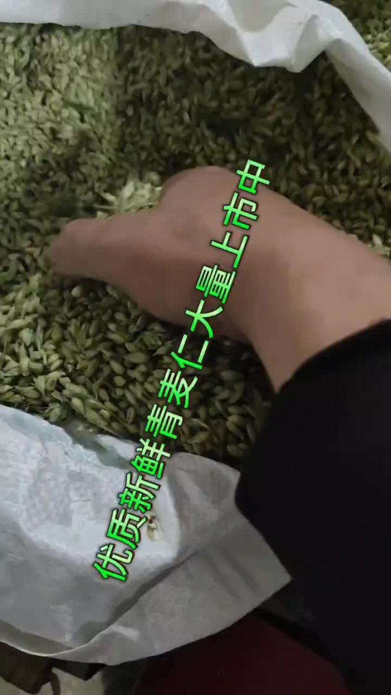 青麦仁