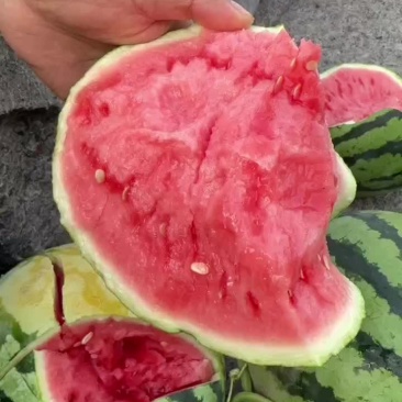 麒麟西瓜