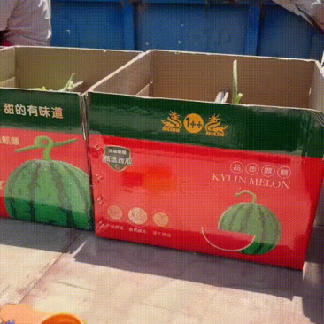 麒麟西瓜
