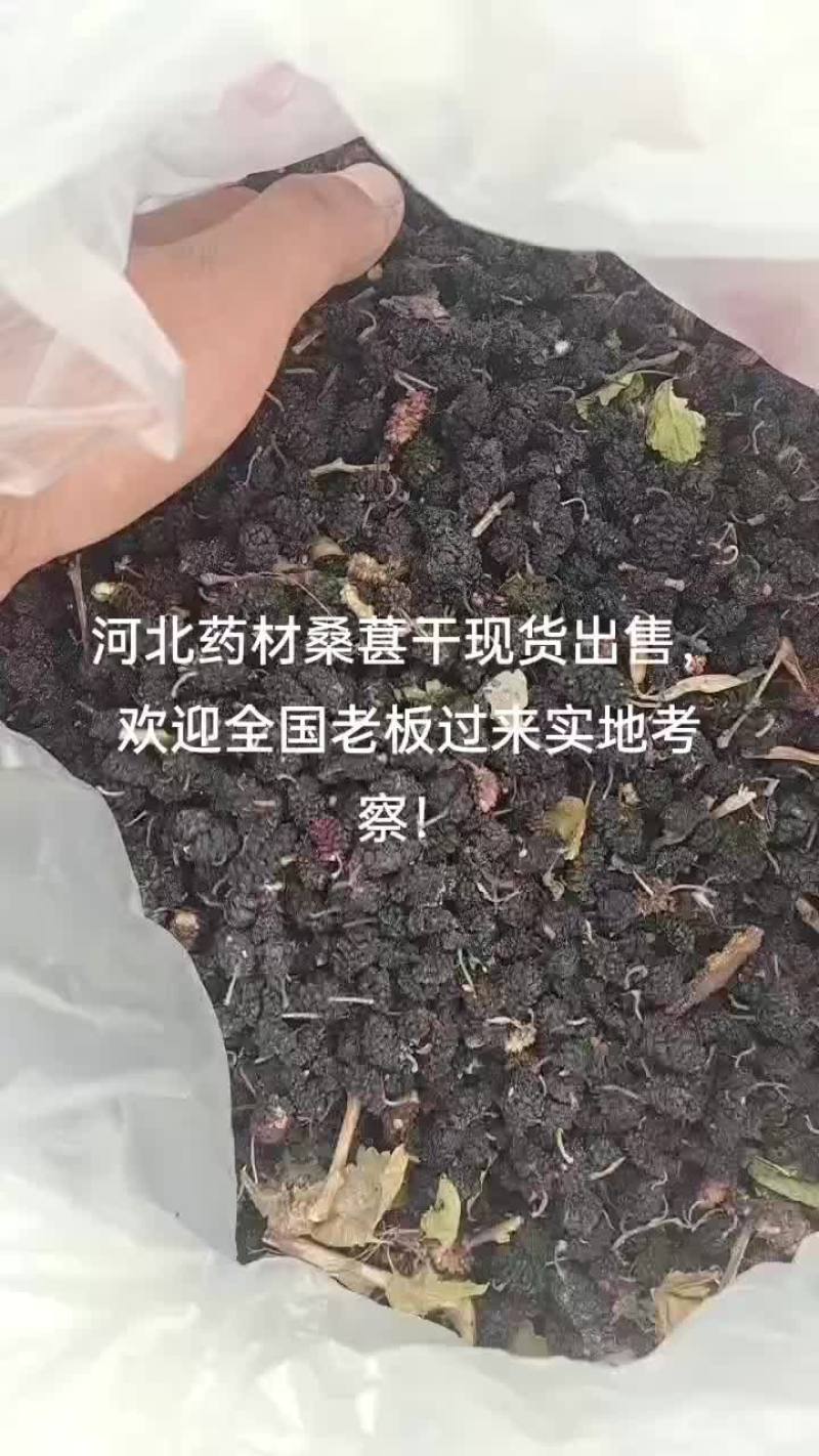黑桑葚