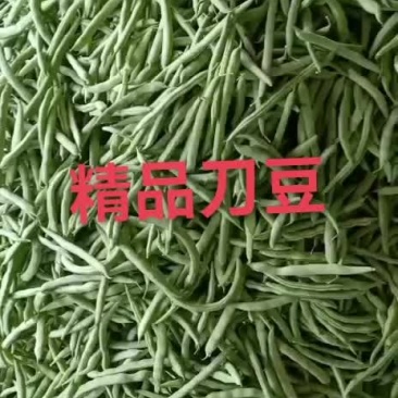 精品刀豆