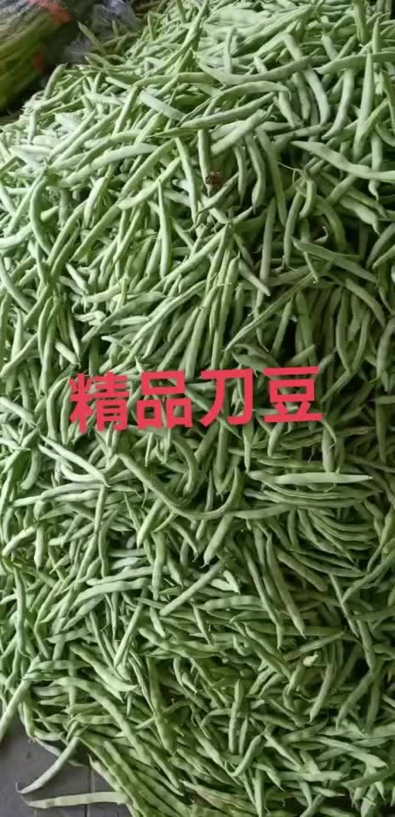 精品刀豆