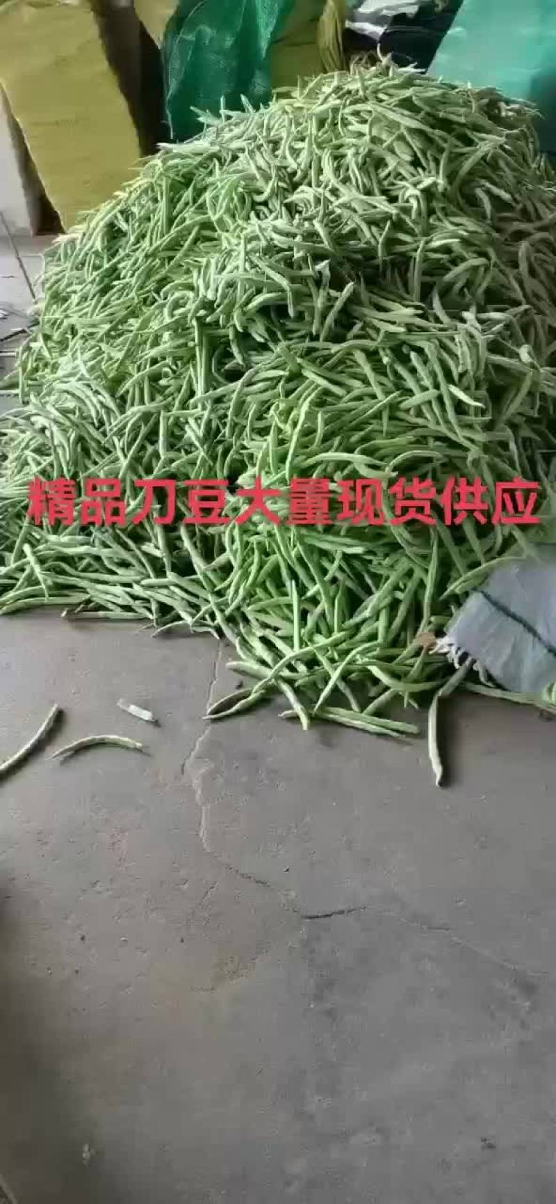 精品刀豆