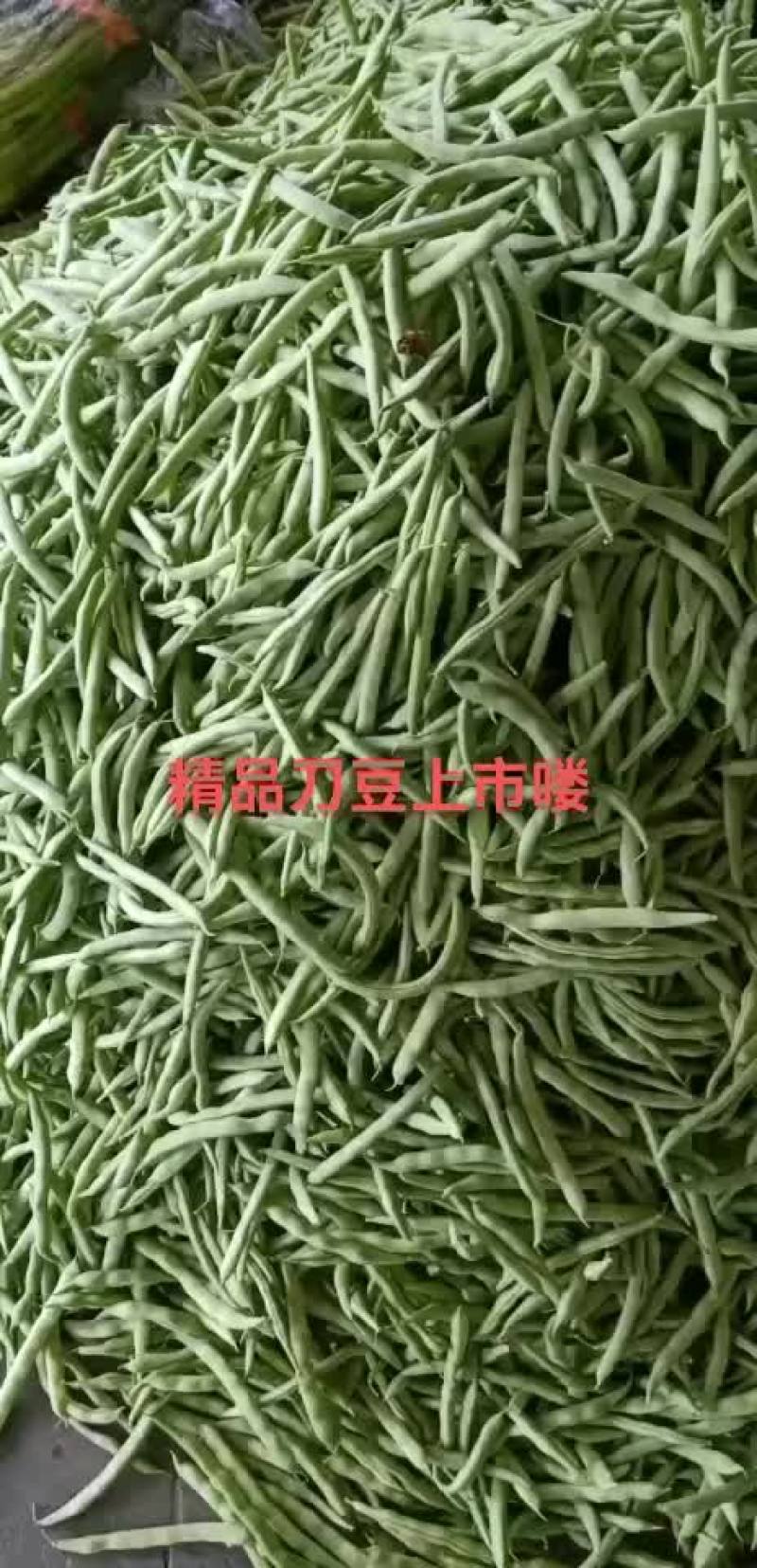 精品刀豆