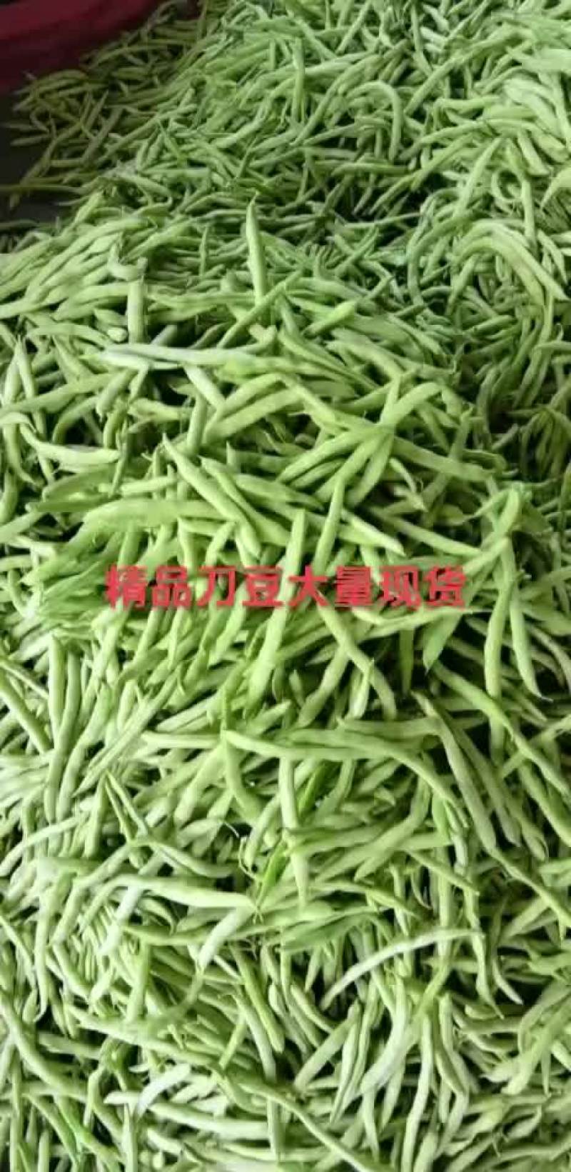 精品刀豆