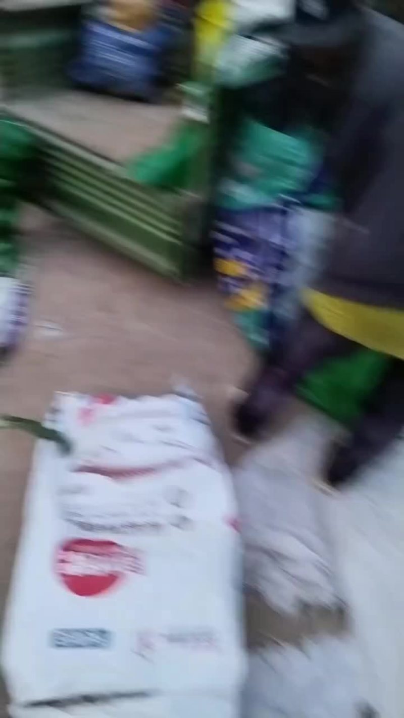 2017早白念玉米