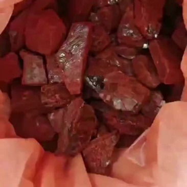 龙血竭