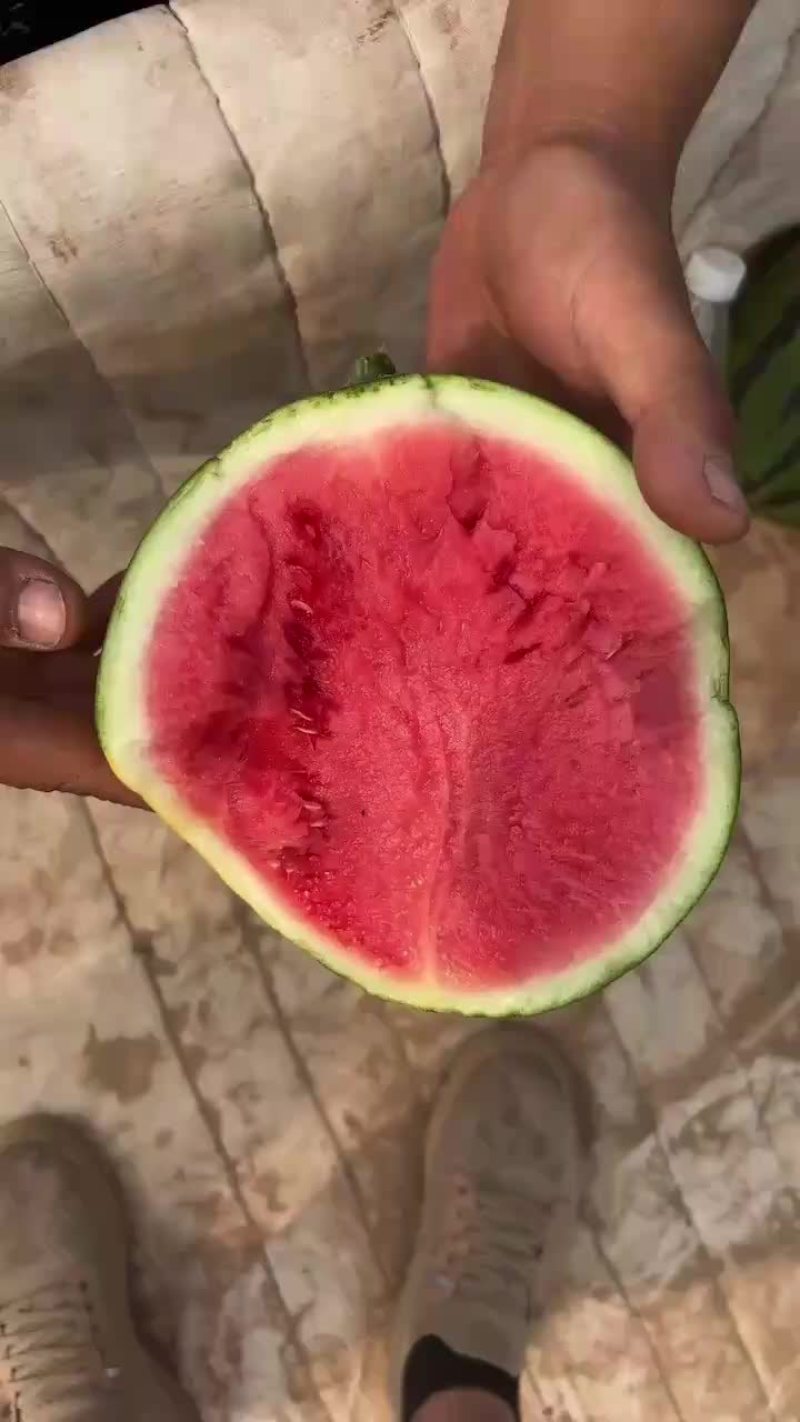 永清大棚西瓜