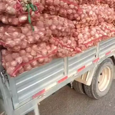 大蒜