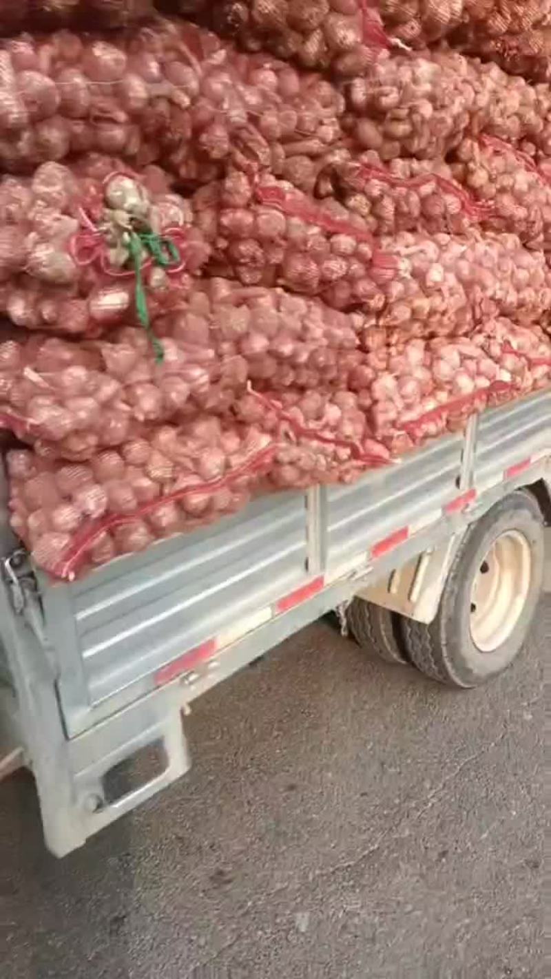 大蒜