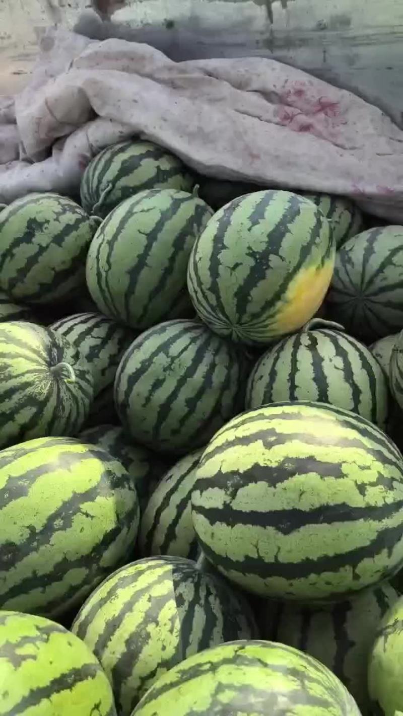 西瓜