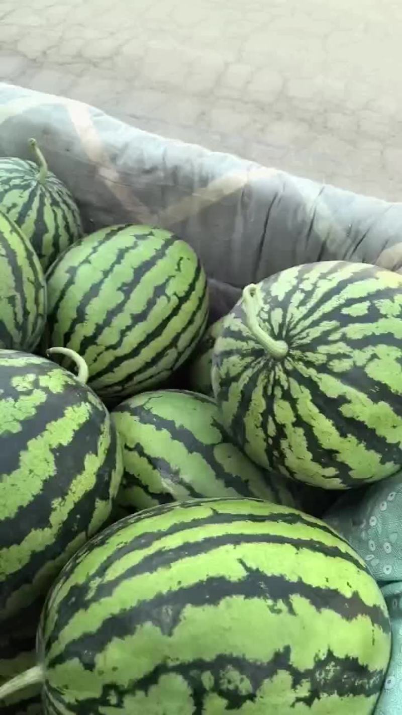西瓜