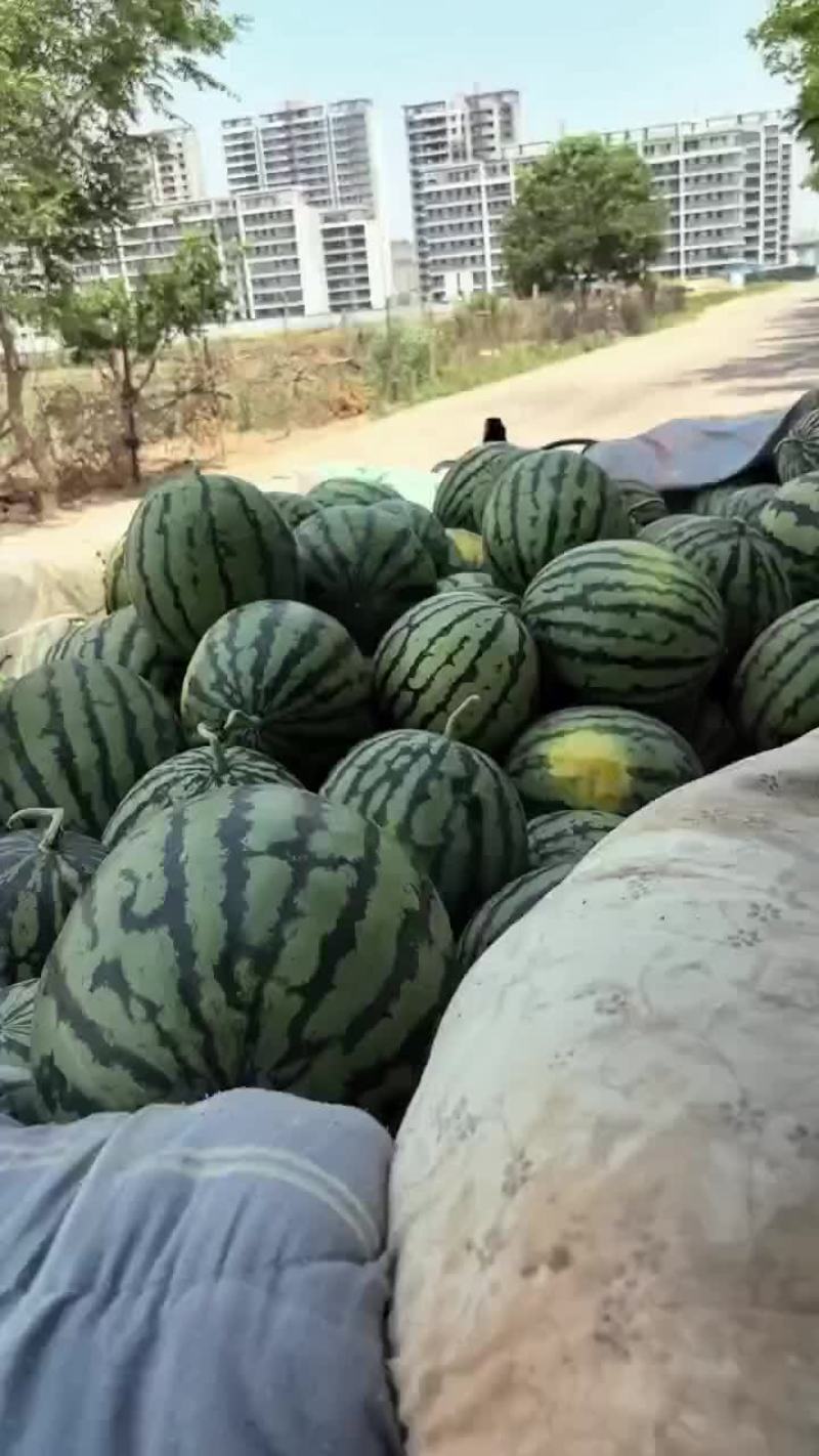 西瓜