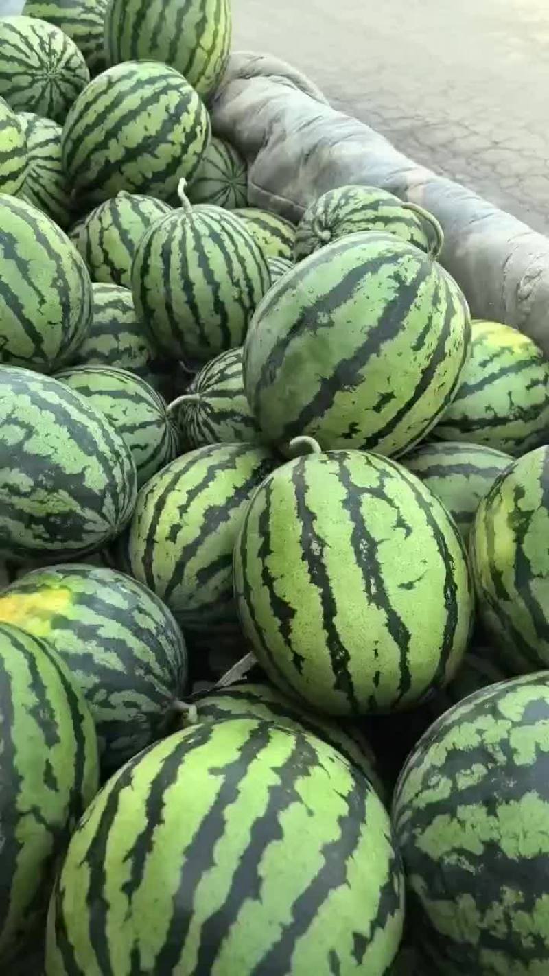 西瓜