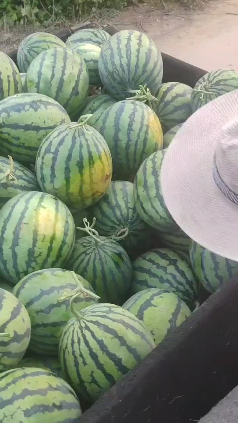 精品甜王