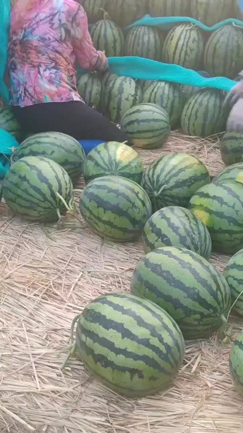 精品甜王