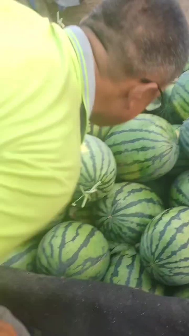 精品甜王