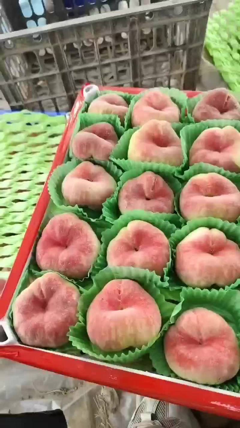 红蟠桃