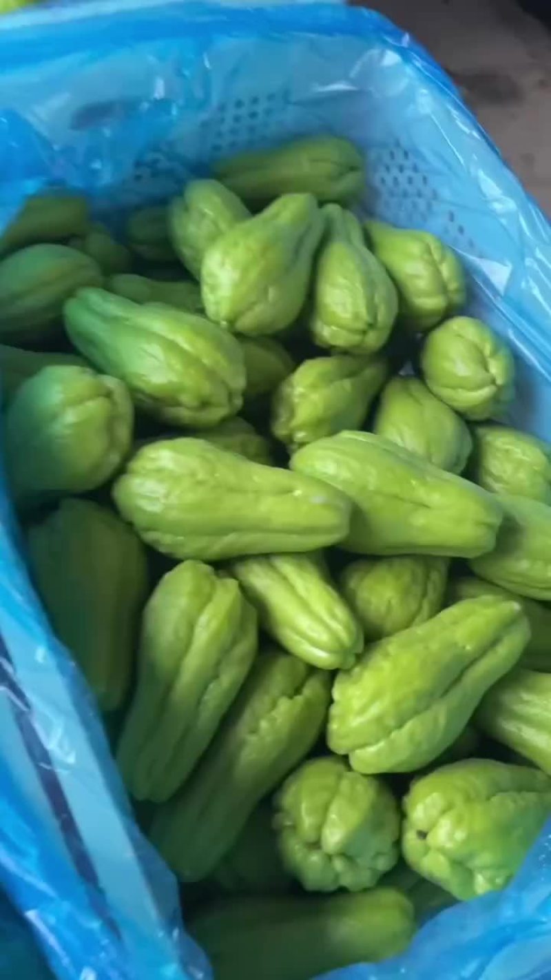 佛手瓜