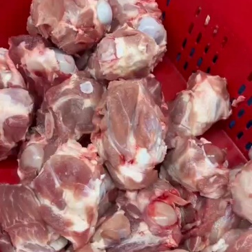 多肉棒骨