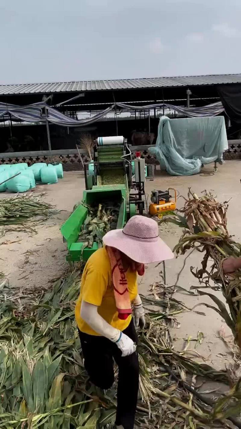 全自动打捆包膜机青储打捆包膜一体机国家补贴型产品