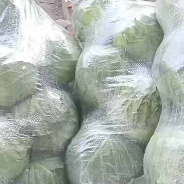精品甘篮