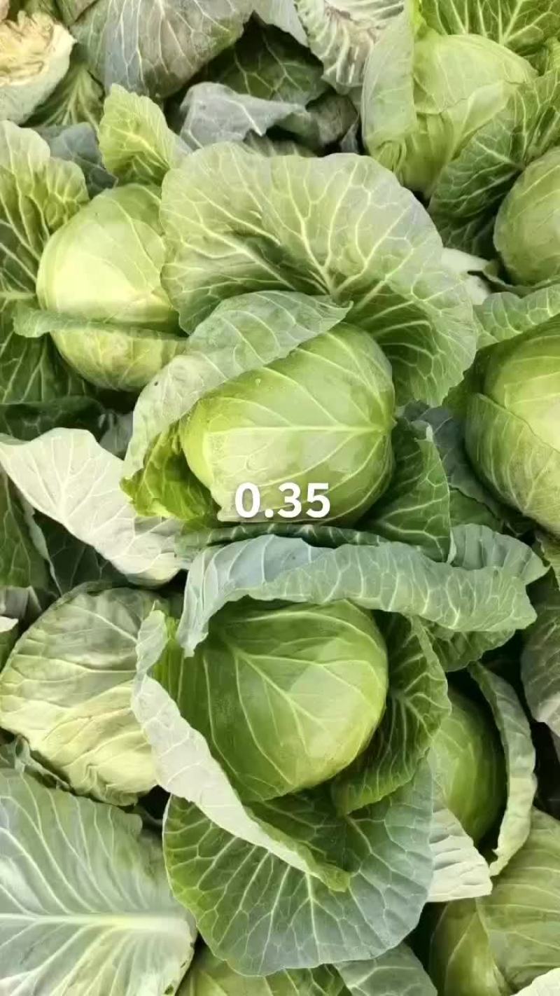 精品甘篮