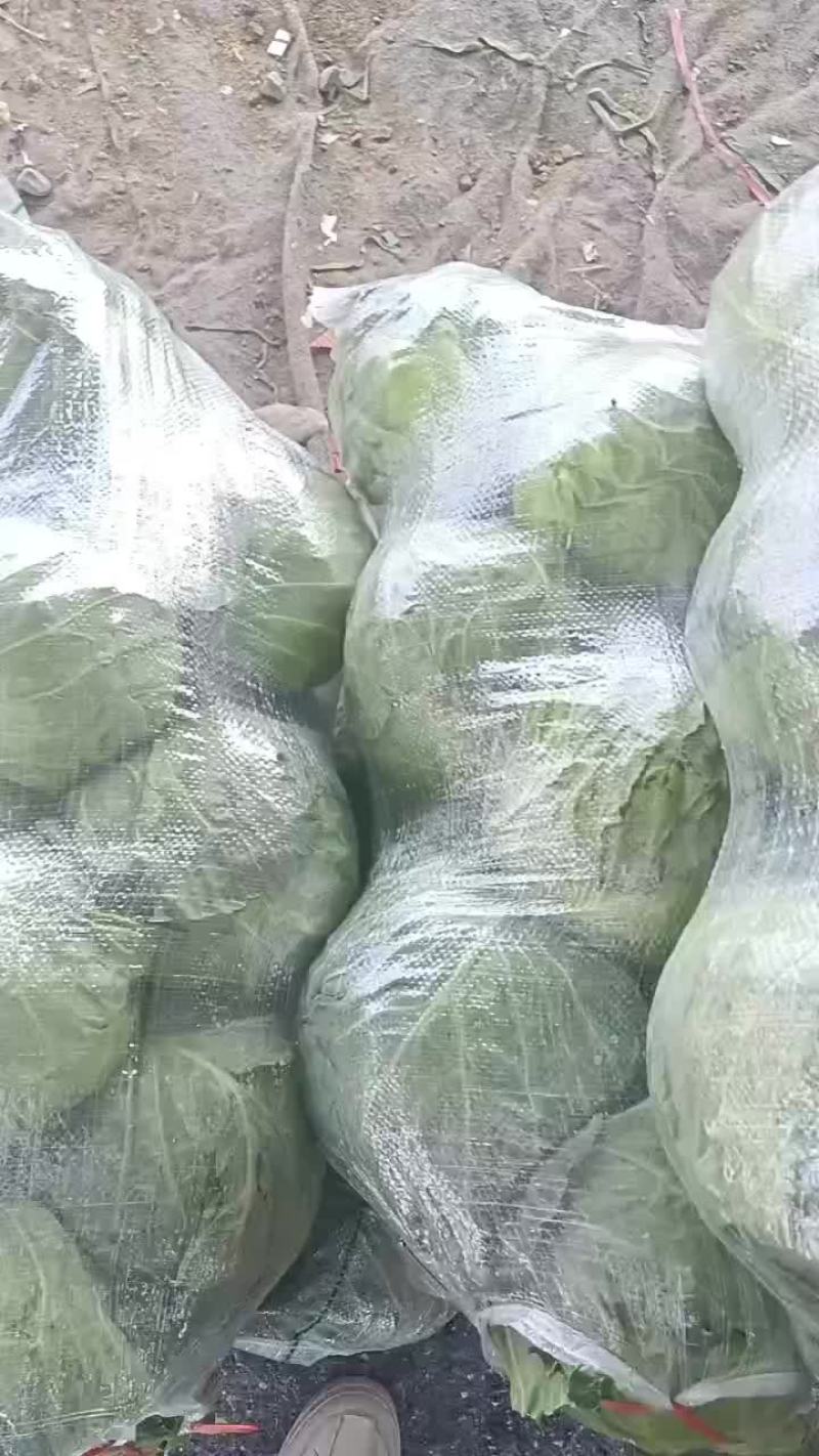 精品甘篮