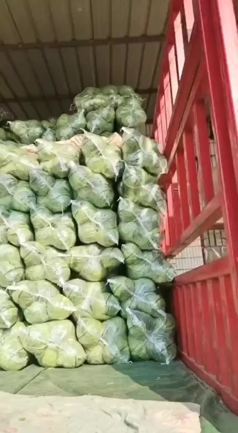 精品甘篮