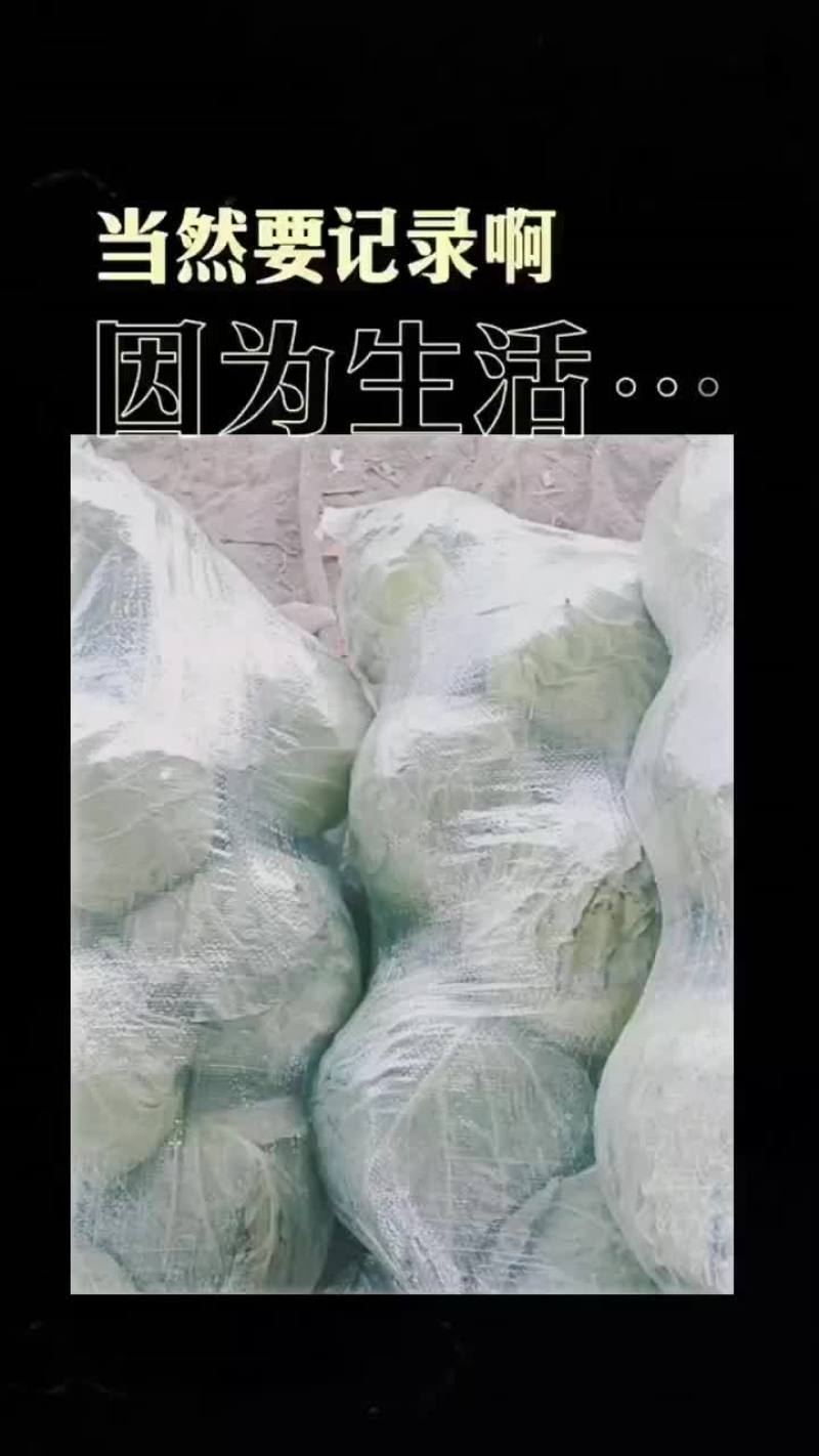 精品甘篮