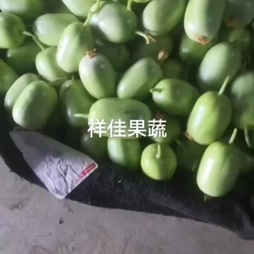 寿光产区，玉女黄瓜有量，适合电商品台，各级市场及商超。