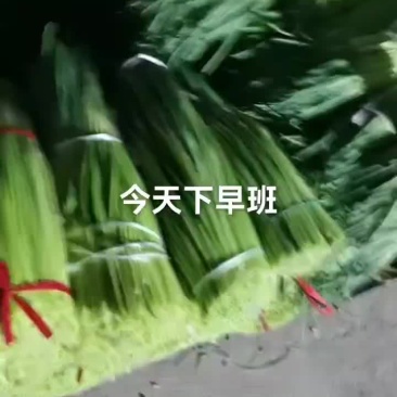 蒜苔