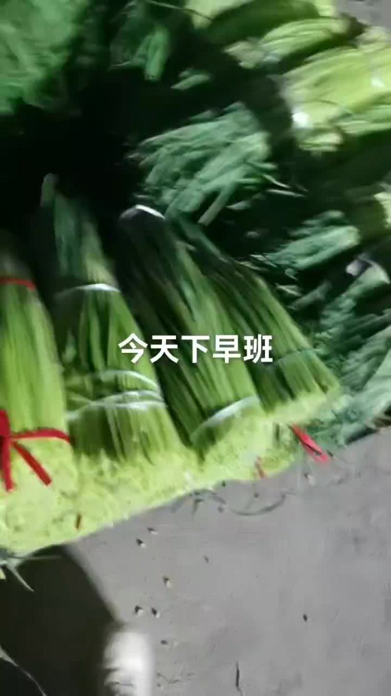 蒜苔