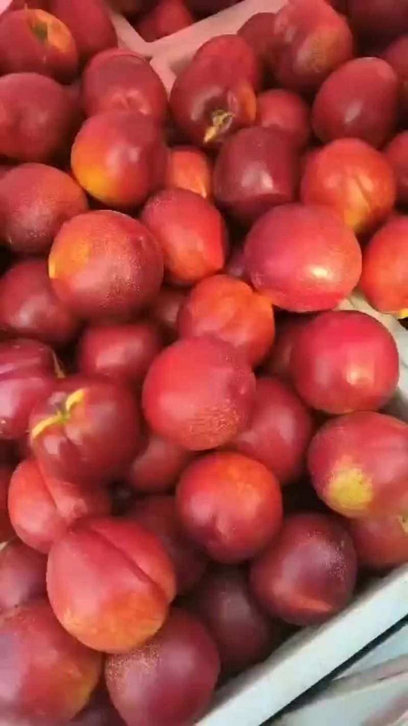 油桃