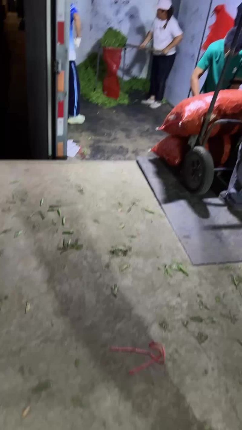 精品豌豆大量上市