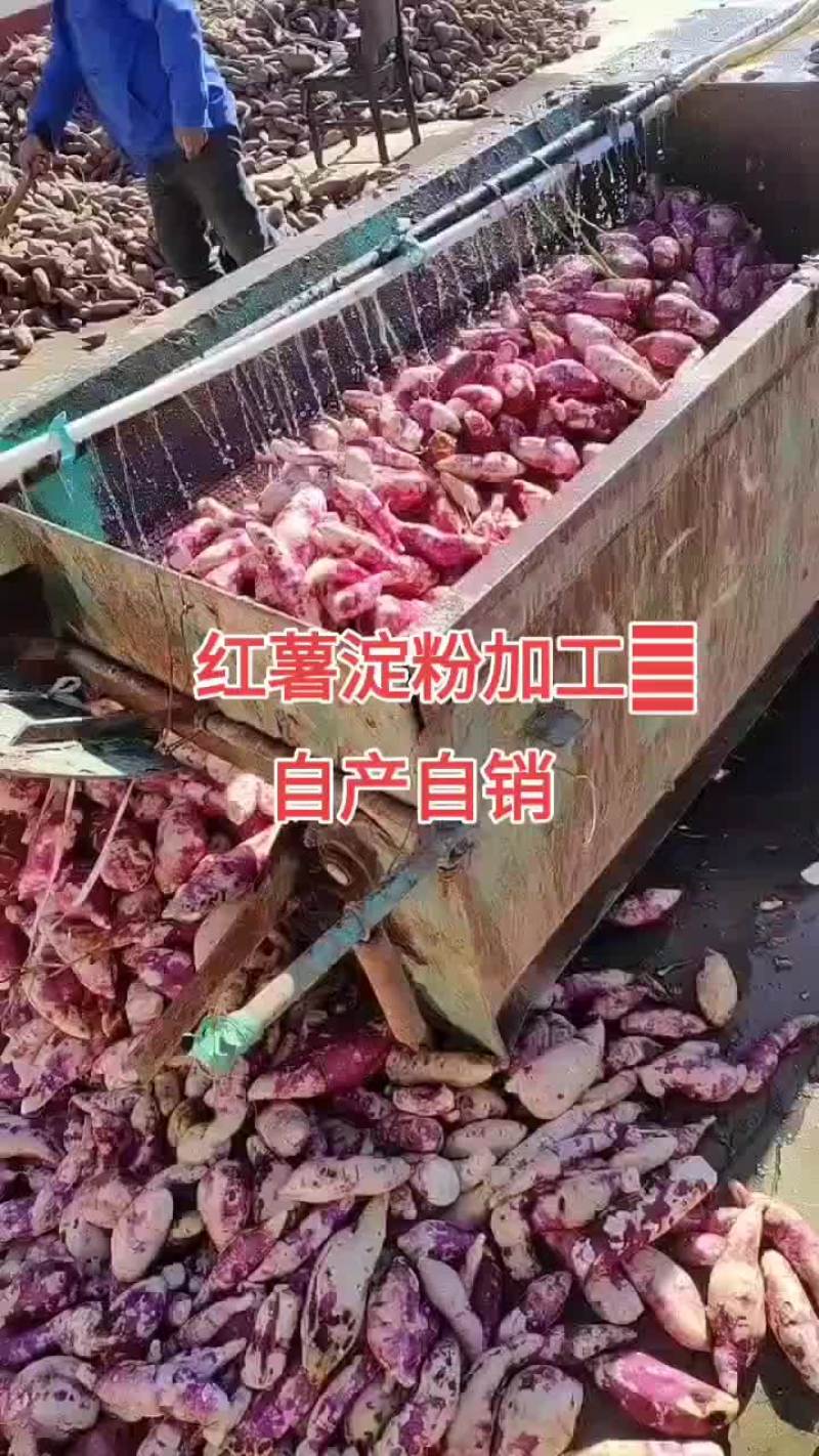 红薯淀粉