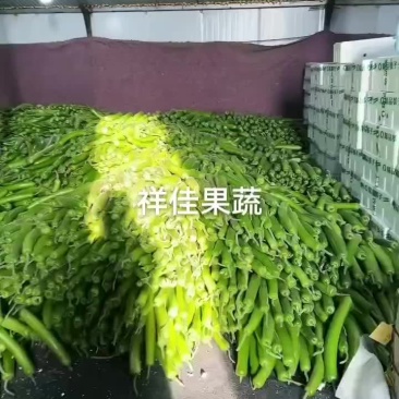 寿光产地，瓠子大量上市。大量有货。需要的老板看过来。
