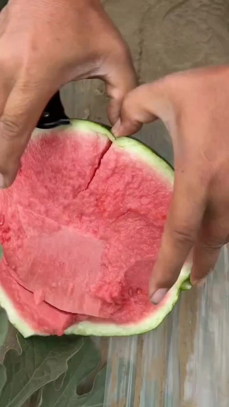 无籽麒麟西瓜