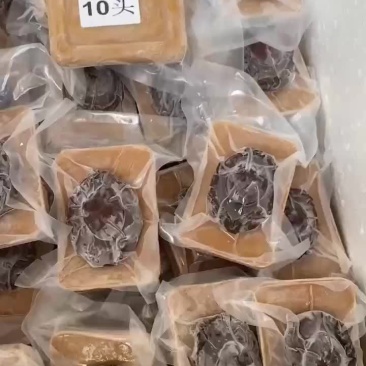 即食南非鲍鱼3头/5头8头/10头/15-18头
