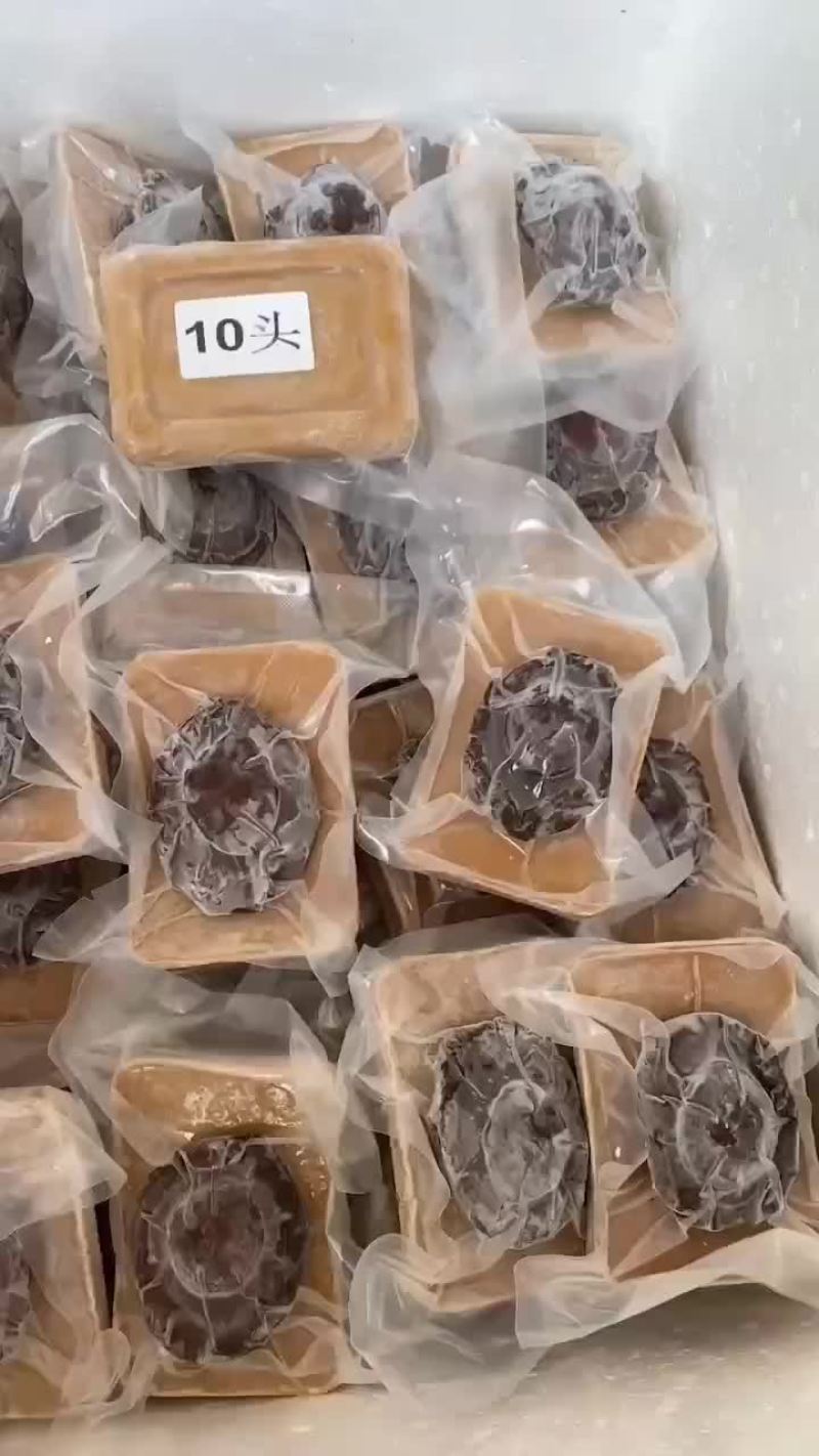 即食南非鲍鱼3头/5头8头/10头/15-18头