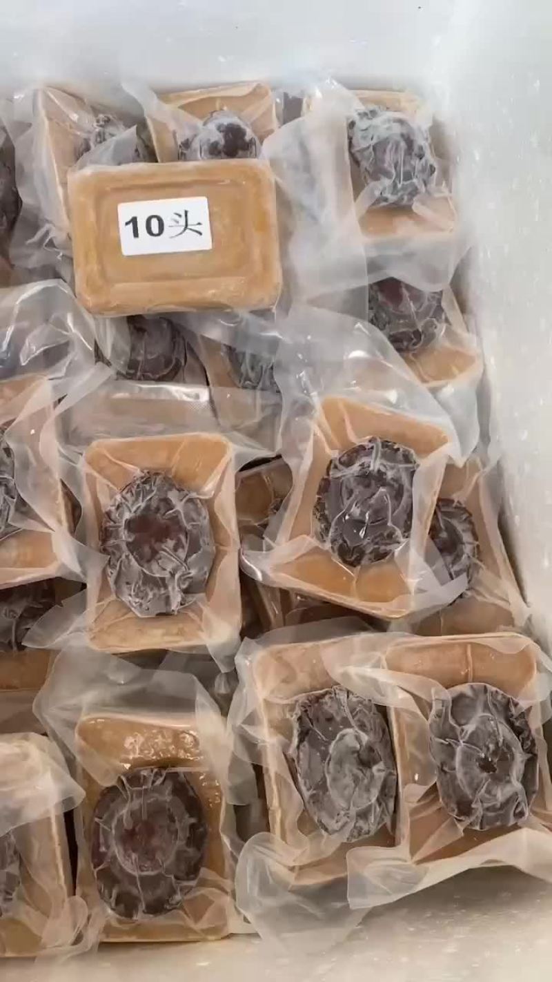 即食南非鲍鱼3头/5头8头/10头/15-18头