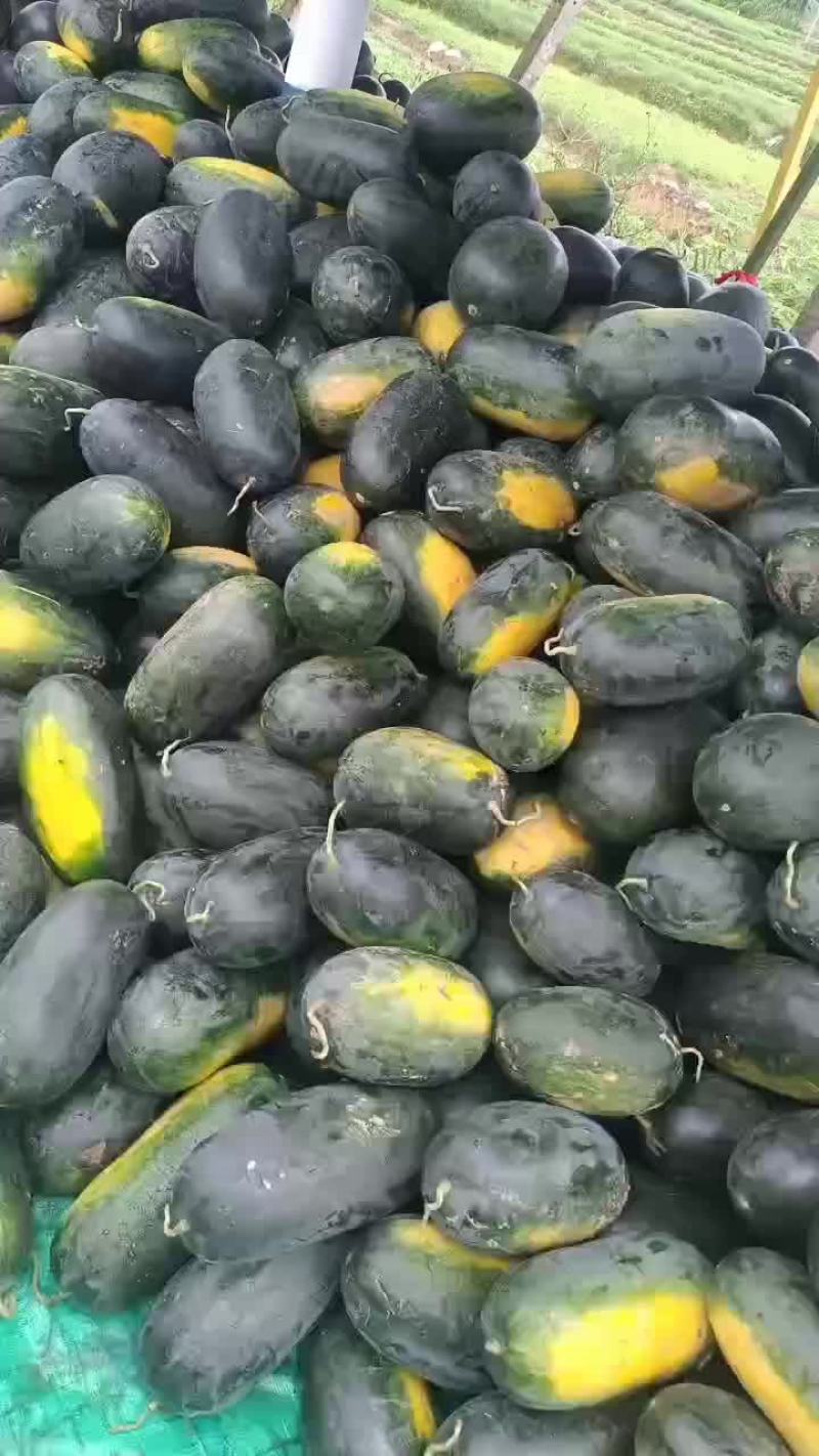 黑美人，西瓜