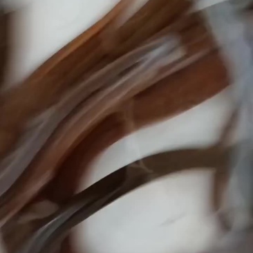 精品大土黄鳝